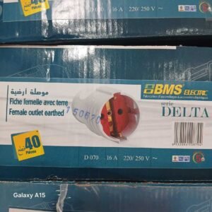 BMS FICHE FEMELLE (40pcs)