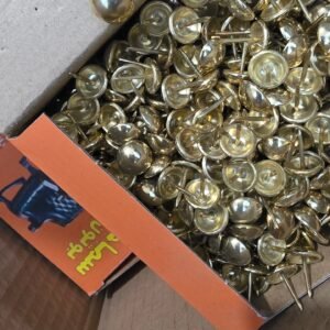 PUNAISE 9211L DORE LUCE