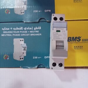 DOUBLE PHASE+NEUTRE 32 A BMS